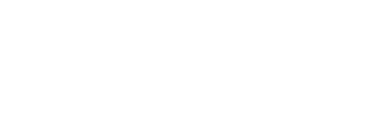 Logo FindFin
